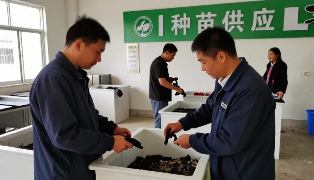 连锁门店需求推动网络较为完善优化升级
