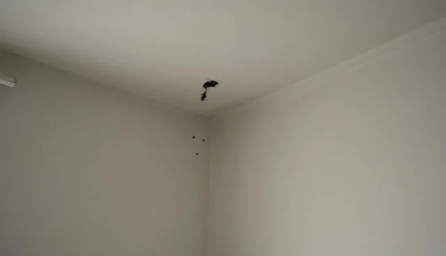 种苗供应对农产品加工性能的影响分析